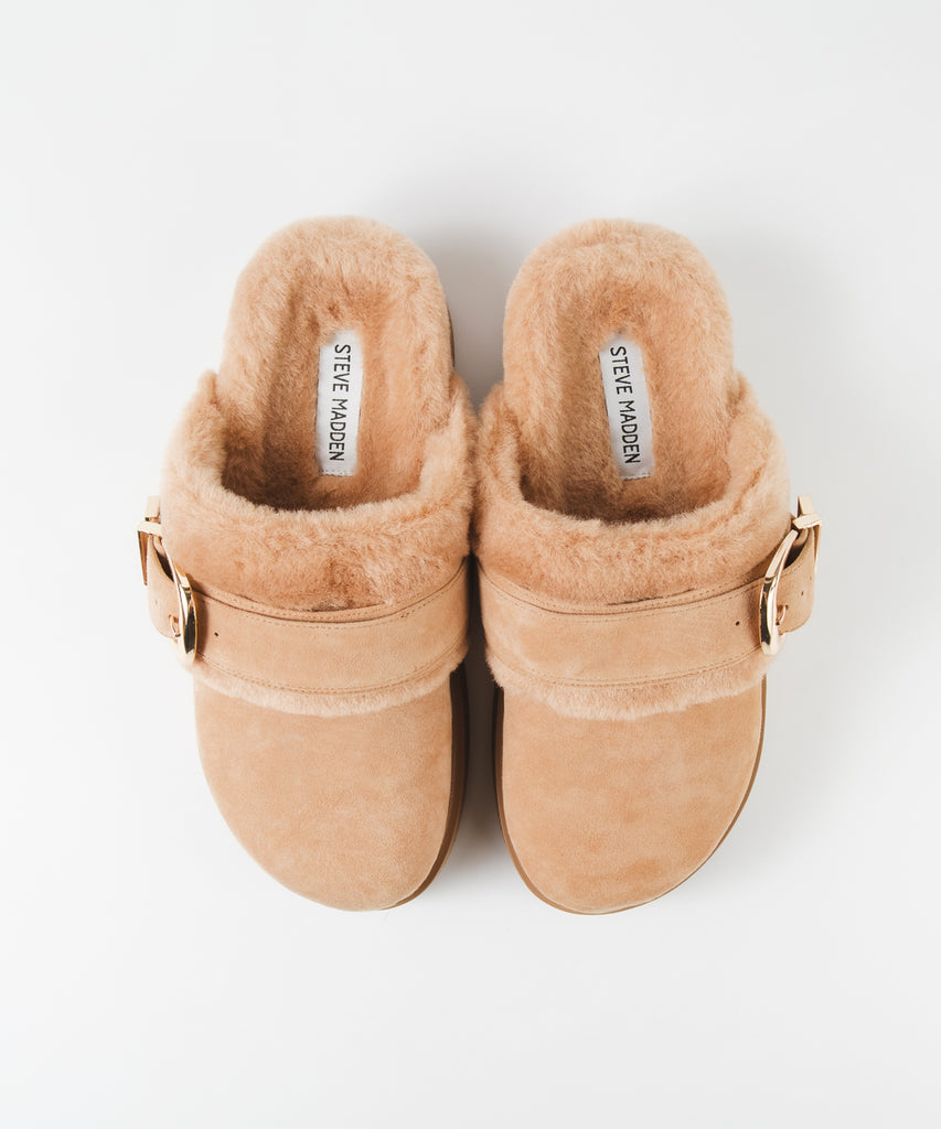 【予約販売】COZYUP-VA ファーバックルサボ　TAN　10月下旬ごろお届け　(heel2.5)